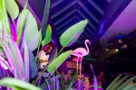 20240907_latin_fusion_salsa_viva_hires_RickdeVisser-135.jpg